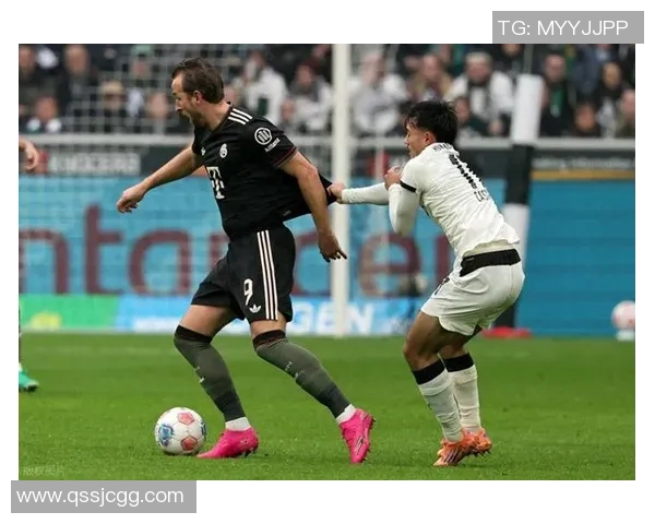 德甲再起航,球迷翘首期待新赛季的到来