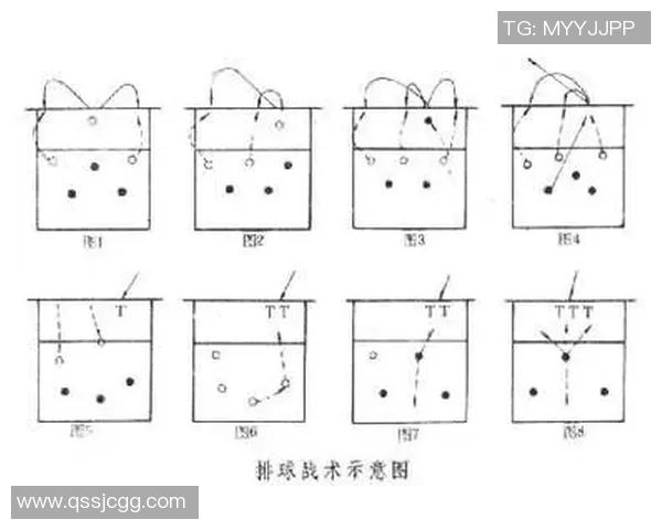 杭州排球队整体压制战术解析与实战应用探讨