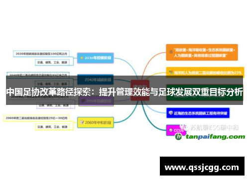 中国足协改革路径探索：提升管理效能与足球发展双重目标分析